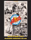 Auction #243 Cover
