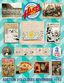 Auction #213 Cover